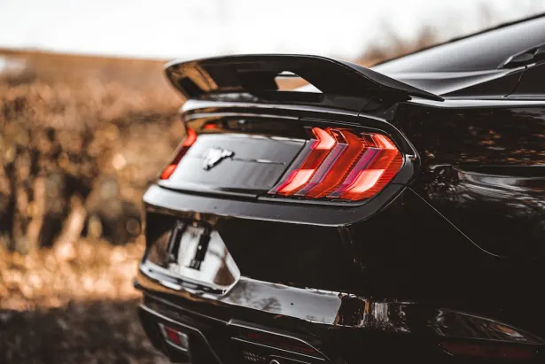 1Bet Casino Aip Android/iOS